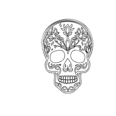 Stylized Ornamental Skull Line Art Illustration