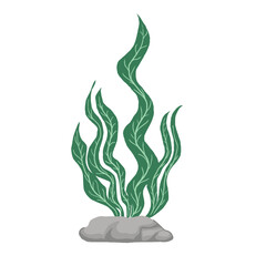 hand-drawn Vector illustration doodle Seaweed Algae underwater organism. Organic Aquatic Plants Illustration. stock illustration