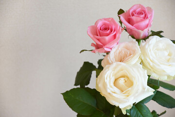 白とピンクのばら