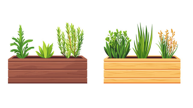 Two Wooden Planters with Assorted Herbs and Vegetables