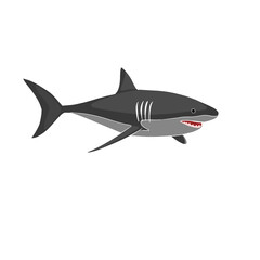 Hand-drawn vector illustration of Shark Fish isolated on a white background