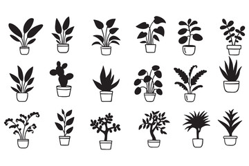 indoor plant house green nature beauty home air clean style leaf  eco room flora design oxygen fresh vibe modern space natural lush garden relax pot organic life window earth minimal trend art