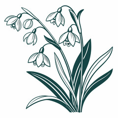 vector illustration of a plant with flowers