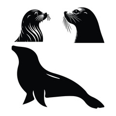 A Sea Lion vector set  with White background