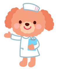 かわいいイヌの看護師さん　お医者さん プードル