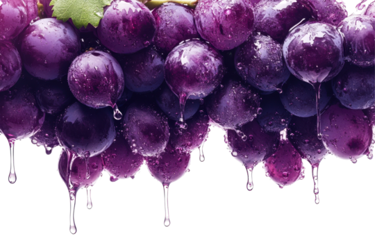 Close up of fresh purple grapes with droplets isolated on white perfect for food and drink designs