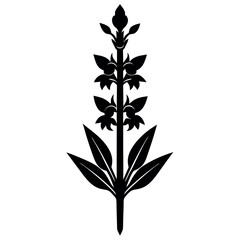 A tall  sword-shaped-gladiolus-stem-bearing-multiple  
