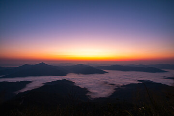 A thick sheet of fog in the beautiful morning
