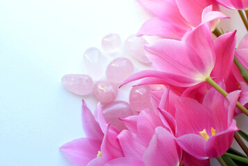 Obraz premium Beautiful rose quartz crystals and a bouquet of pink tulips. Healing crystals, talisman for women