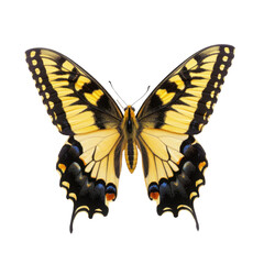 Naklejka premium vibrant butterfly with striking yellow and black wings, showcasing intricate patterns and details. This beautiful insect symbolizes transformation and nature elegance