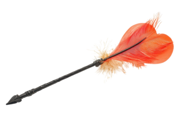 Cupid arrow with heart shaped red feather on white background for Valentine's Day inspiration