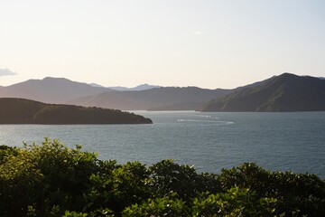 Golden hour soft light nature landscape of Queen Charlotte Sound green rolling hills forest seascape at Karaka Point Picton Marlborough New Zealand