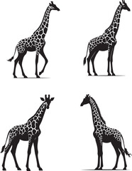 Zuberi Giraffe Vector Illustration – Bold and Friendly Safari Animal Character