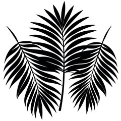 Obraz premium Palm-leaves-isolated-on-white-background 