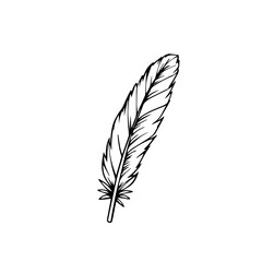 Obraz premium Black and white feather illustration against a plain background 