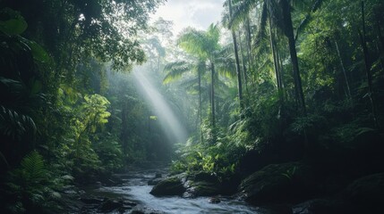 Obraz premium Sun-kissed Tropical Rainforest: A serene depiction of nature's vibrant green canopy