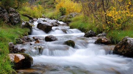 Fototapeta premium Serene Autumn Stream: Cascading Waters Through Golden Foliage