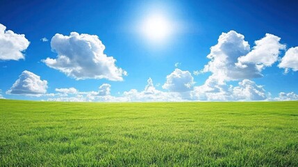 Fototapeta premium Sunny Day in a Verdant Field: A Breathtaking Landscape