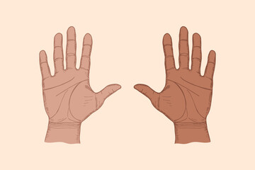 Open palms of hands sketch drawing illustration. Hand drawn vector line art clipart in engraving style, diversity, greeting, support, protect concept