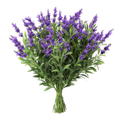Obraz premium vibrant bouquet of purple flowers, featuring lush green leaves, creates stunning visual display. This arrangement is perfect for adding touch of elegance and beauty to any setting