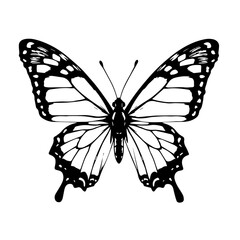 Butterfly silhouette design on a white background  