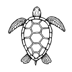 Obraz premium Sea Turtle Illustration in Black and White Style 