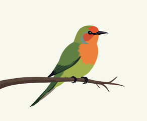 Colorful bird perched on a branch illustration