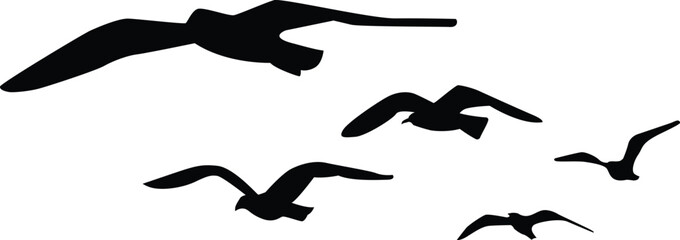 group Of seagull silhouette vector