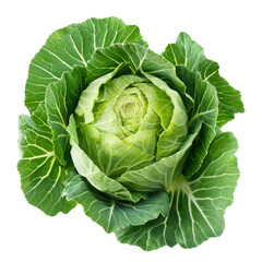 Obraz premium Fresh green cabbage with vibrant leaves and tightly packed center, showcasing its natural beauty and healthy appeal. Perfect for salads, cooking, or garnishing dishes