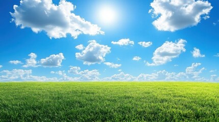 Fototapeta premium Serene Summer Meadow Under a Bright Blue Sky