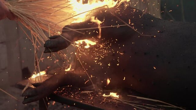 Burning straw singes pig carcass in traditional rural Portugal pig butchering