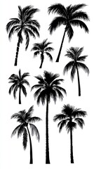 Silhouettes of various palm trees, perfect for design.