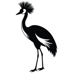 crowned crane vector animal
