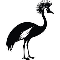 crowned crane vector animal