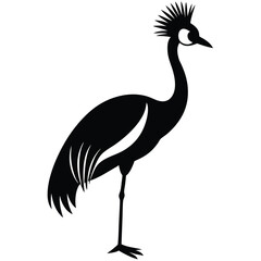crowned crane vector animal