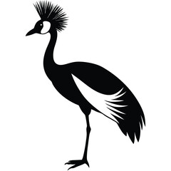 crowned crane vector animal