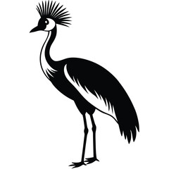 crowned crane vector animal