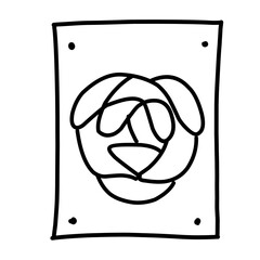 set of fruit and vegetable vector icons with line icons