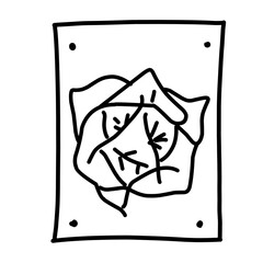 set of fruit and vegetable vector icons with line icons