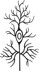 Obraz premium Pyramidal neuron Vector Illustration Outline