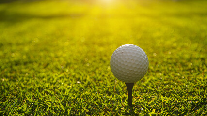 Golf ball on green grass in the evening golf course with sunshine background.