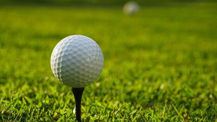 Golf ball on green grass in the evening golf course with sunshine background.