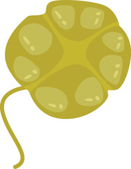 karenia brevis vector illustration