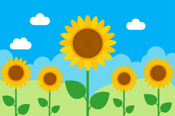sunflowers on a blue background