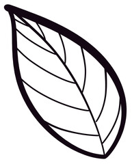 leaf