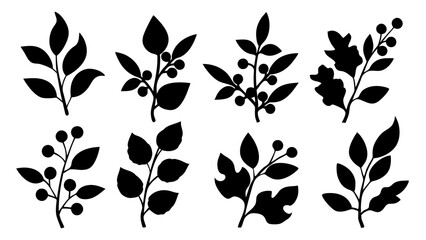 set of botanical plant silhouette vector on white background