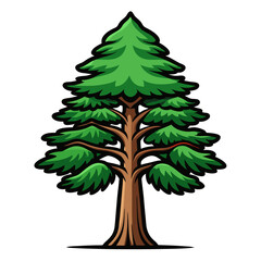  Australian Pine Tree Bold Illustration Design
