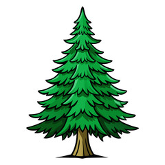  Captivating Balsam Fir Tree Illustration