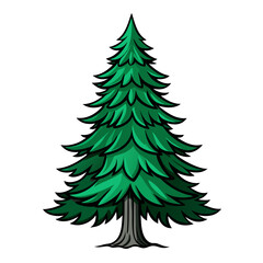  Impressive Balsam Fir Tree Illustration Art
