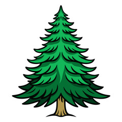  Balsam Fir Tree Bold Illustration Design